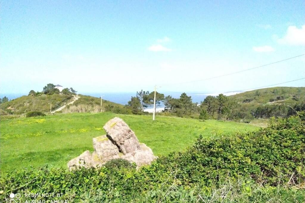 Holiday home Sunflower Sea View With Magnificent Terrace In Serra Da Pescaria, - Portugal Nazare