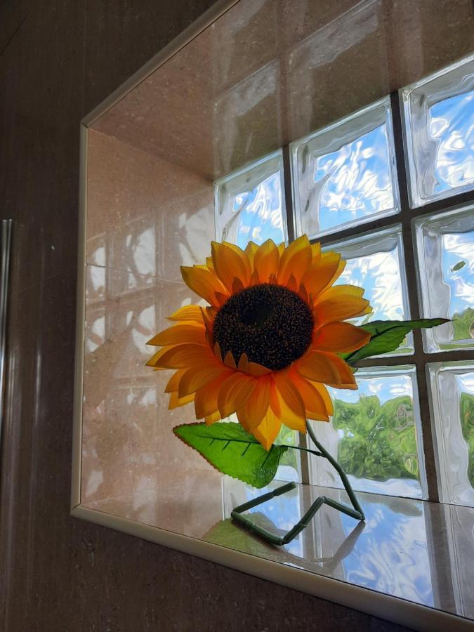 Holiday home Sunflower Sea View With Magnificent Terrace In Serra Da Pescaria, - Portugal Nazare