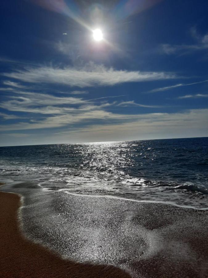 Sunflower Sea View With Magnificent Terrace In Serra Da Pescaria, - Portugal Nazare